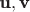 $\textbf u, \textbf v$ $\textbf u, \textbf v$