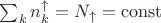 $\sum_k n_k^{\uparrow} = N_{\uparrow} =  \operatorname{const}$