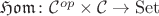 $\mathfrak{Hom}\colon \mathcal{C}^{op}\times\mathcal{C}\to\mathrm{Set}$