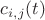 $c_{i,j}(t)$