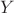 ${\displaystyle Y}$