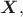 $\boldsymbol{X}, то есть $