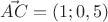 $\vec{AC}=(1;0,5)$