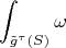 $$\int_{\tilde g^\tau(S)}\omega$$