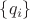 $\{q_i\}$