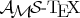 \AmS-\TeX