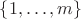 $\{1,\ldots,m\}$ $\{1,\ldots,m\}$