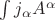 $\int j_\alpha A^\alpha$