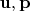 $\mathbf{u},\mathbf{p}$