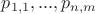 $p_{1,1},...,p_{n,m}$