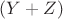 $(Y + Z)$