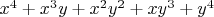 $x^4+x^3y+x^2y^2+xy^3+y^4$