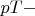 $pT-$