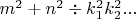 $m^2+n^2\div k_1^2k_2^2...$