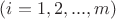 $(i = 1, 2, . . ., m)$