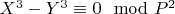 $ X^3 -Y^3\equiv 0\mod P^2$