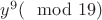 $y^9 (\mod 19)$