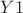 $Y1$