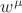 $w^{\mu }$