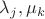 $\lambda_j, \mu_k $