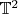 $\mathbb{T}^2$