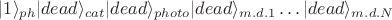 $|1\rangle_{ph}|dead\rangle_{cat}|dead\rangle_{photo}|dead\rangle_{m.d. 1}\dots|dead\rangle_{m.d. N}$