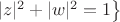 $\left.|z|^2+|w|^2=1\right\}$