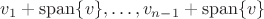 $v_1 + \mathrm{span} \{v\}, \ldots, v_{n-1} + \mathrm{span} \{v\}$