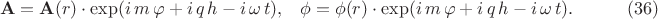 $$\begin{xalignat*}{3}&\mathbf A=\mathbf A(r)\cdot\exp(i\,m\,\varphi+i\,q\,h-i\,\omega\,t), &&\phi=\phi(r)\cdot\exp(i\,m\,\varphi+i\,q\,h-i\,\omega\,t).&&\qquad\eqno{(36)}\end{xalignat*}$$