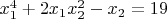 $x^4_1+2x_1x_2^2-x_2=19$