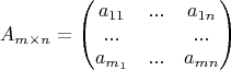 $$A_{m \times n} = \begin{pmatrix} a_{11}
 & ...  &  a_{1n} \\ 
 ...&  &... \\ 
 a_{m_{1}}& ... & a_{mn}
\end{pmatrix}$$
