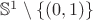 $\mathbb{S}^1\setminus\{(0,1)\}$
