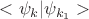 $<\psi_k|\psi_{k_1}>$