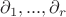 $\partial_1,...,\partial_r$