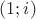 $(1; i)$