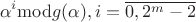 $$\alpha ^i\mathrm {mod}g(\alpha), i=\overline {0,2^m-2}$$