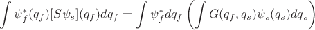$$\int\psi_f^*(q_f)[S\psi_s](q_f)dq_f=\int\psi_f^*dq_f\left(\int G(q_f,q_s)\psi_s(q_s)dq_s\right)$$