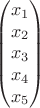 $$\begin{pmatrix}
 x_1\\
 x_2\\
 x_3\\
 x_4\\
 x_5\\
\end{pmatrix}$$