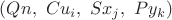$(Qn, \ Cu_i, \ Sx_j, \ Py_k)$