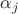 $\alpha_{j}$ $\alpha_{j}$