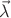 $\vec \lambda$ $\vec \lambda$