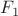 $ F_{1} $