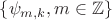 $\{\psi_{m,k}, m\in \mathbb{Z}\}$