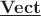 $\underline{\mathbf{Vect}}$