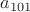 $a_{101}$