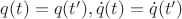 $q(t)=q(t^\prime), \dot{q}(t)=\dot{q}(t^\prime)$