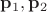 $\mathbf p_1, \mathbf p_2$ $\mathbf p_1, \mathbf p_2$