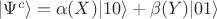 $\vert\Psi^{c}\rangle= \alpha(X)\vert 10\rangle + \beta(Y) \vert 01\rangle$