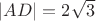 $ \left | AD \right | = 2 \,\,\sqrt[]{3} $