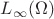 $L_{\infty}(\Omega)$